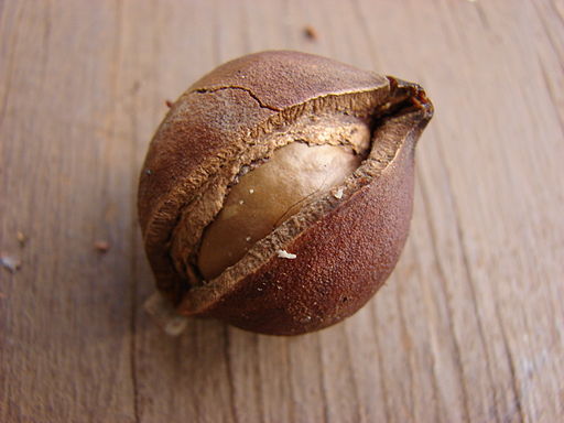 Las nueces de macadamia para bajar el colesterol
