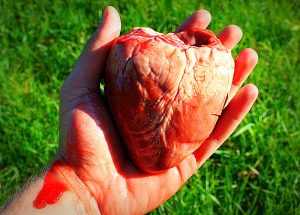 Información sobre el corazón: qué es y cuál es su función