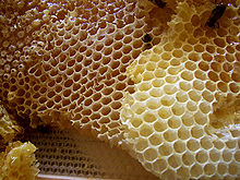 Qué miel usar como reemplazo del azúcar para bajar triglicéridos