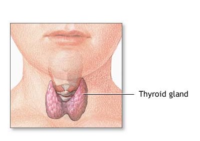 Relación entre triglicéridos altos y problemas de tiroides